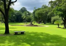 Parque Municipal Atuba