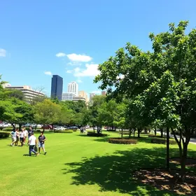 Viva o Verde SP