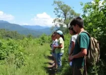 educação ambiental