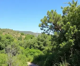 Parque Natural Municipal Itaim