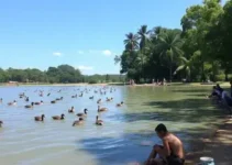 Semana da Criança no Parque das Águas Quentes