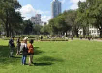 Parque Municipal na Avenida São Camilo