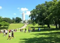 UFMG nas Ruas